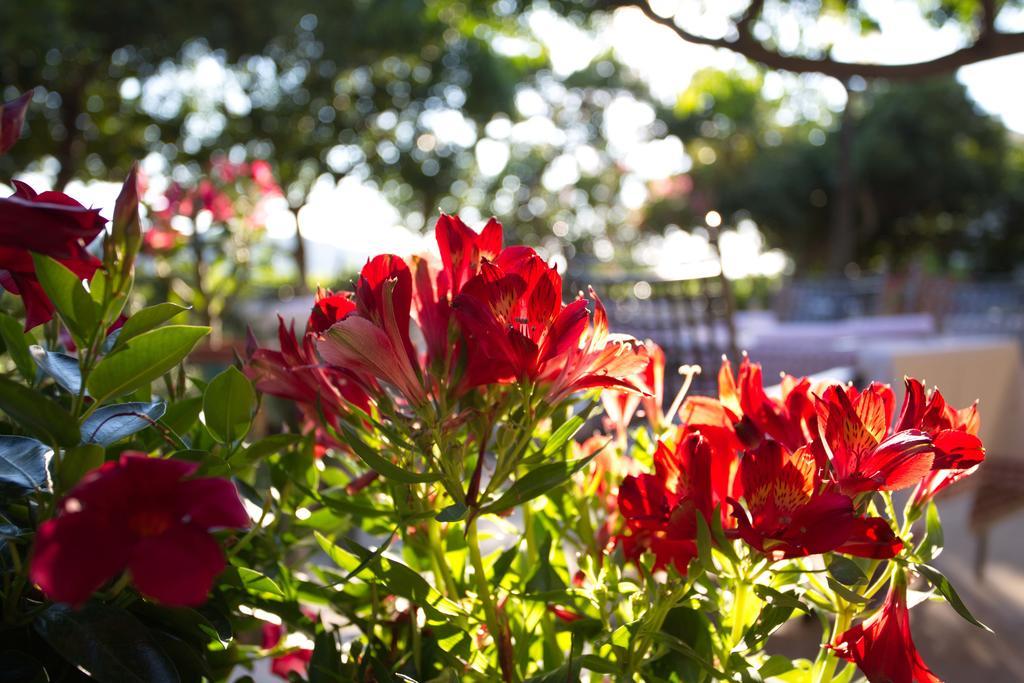 Hotel Villa Barbat Barbat na Rabu Eksteriør bilde